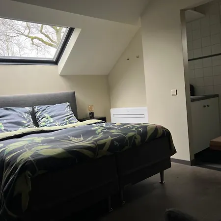 Bed & Breakfast Ikigai